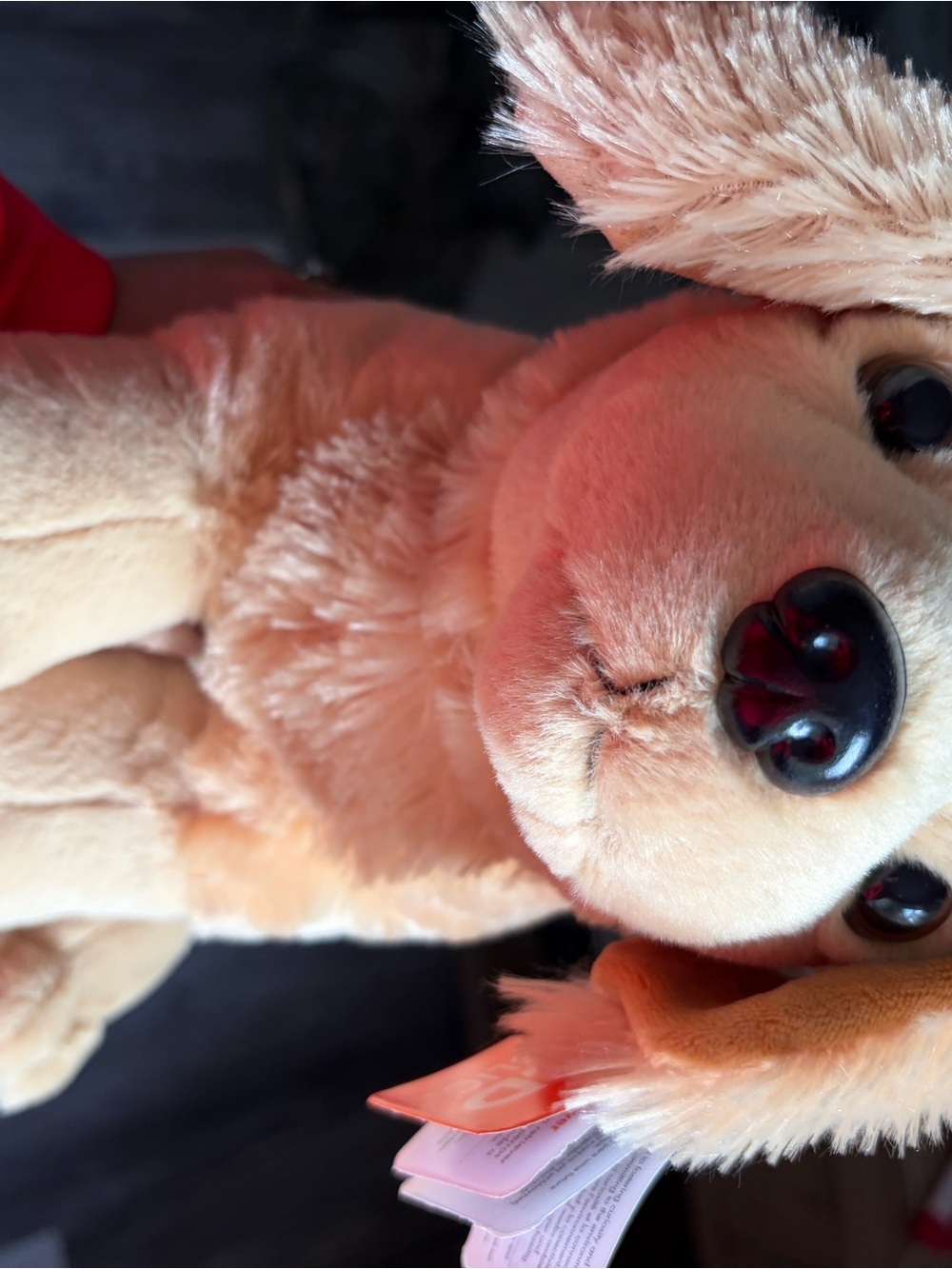 4/$100 Plush Dog Toy - Soft Cream Puppy Plush for Pets